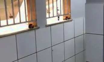 Imagem 4: Alugo no Green Park 1