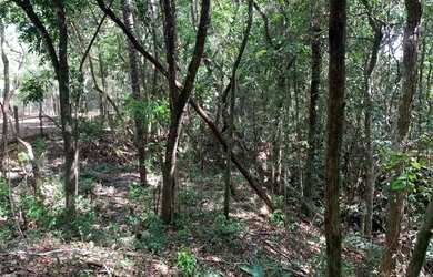 Imagem 5: Chácara 2.250m² em condomínio, chalé, fogão a lenha, córrego nos fundos e cisterna