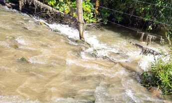 Imagem 2: Fazenda 137 Alqueires na Lavoura!