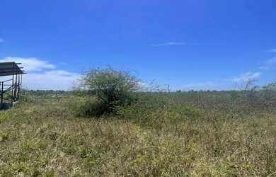 Imagem 3: TERRENO 10x56 São Gonçalo dos Campos ( Brotas