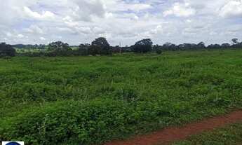 Imagem 4: Fazenda à Venda em Amorinópolis/GO 84 Alqueires