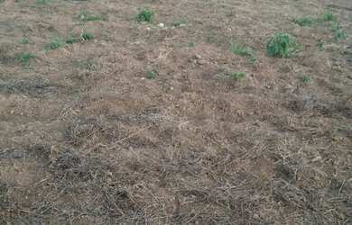 Imagem 4: Lote de mini chácara