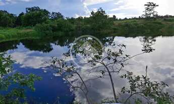 Imagem 3: FAZENDA NO DISTRITO DE CANGAS EM POCONÉ 50 hectares 01 casa 10 represa 30 hectares de past