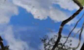 Imagem 2: Vendo esse lindo terreno na beira do rio tarumã prox ao famoso avião do tarumã