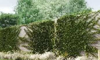 Imagem 5: Apartamento em Rua Marquês do Herval - Moinhos de Vento - Porto Alegre/RS