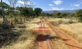 Imagem 7: Fazenda na Nova Fronteira Agrícola 330 alqueieres (1.597 hectares) Colinas Do Sul - Go