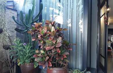 Imagem 2: Sobrado à venda em Indaiatuba, Parque Residencial Indaiá, com 3 suítes, com 190.94 m²