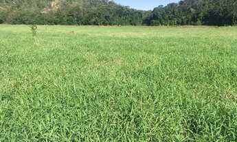 Imagem 5: Venda-se está fazenda de 165 alqueires no Estado do Rio de janeiro/RJ