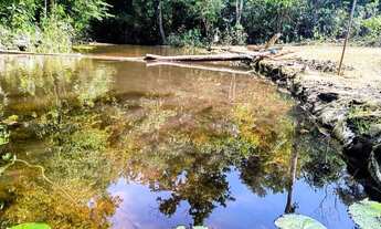 Imagem: IMPERDÍVEL, Sitio com Igarapé, com 10