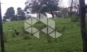 Imagem 6: Terreno à Venda em Arvorezinha, Bagé - R$ 55.000