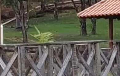 Imagem 2: FAZENDA 30,5 ALQUEIRES, PIRENÓPOLIS