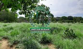 Imagem: Fazenda 100 Aqueires Dupla Aptidão Tocantins