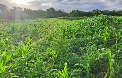 Imagem: Vendo ou troco