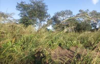 Imagem 6: Chacara sentido Aparecida Vender URGENTE