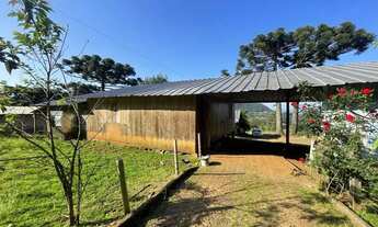 Imagem 3: Sitio - Bairro Serra Grande