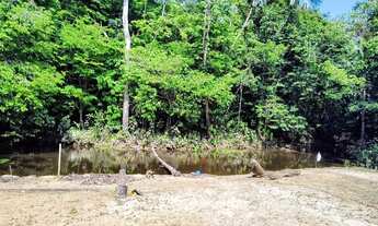 Imagem 4: IMPERDÍVEL, Sitio com Igarapé, com 10 hectares, - próximo cachoeira castanh