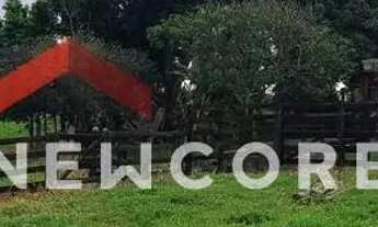 Imagem: Sítio em Rua Saldanha Marinho - Centro