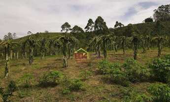 Imagem 6: Sítio com 3 dormitórios à venda, 20000 m² por R$ 880.000 - Guirra - São José dos Campos/SP
