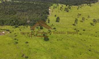 Imagem 6: Fazenda com 294 alqueires, usada na pecuária, ótima localização, rica em água