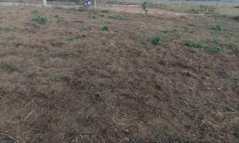 Imagem 2: Lote de mini chácara