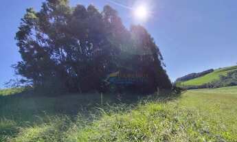 Imagem 10: Fazenda à venda, 907500 m² por R$ 8.000.000 100% regularizada - Guaraniaçu/PR