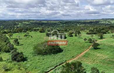Imagem 7: Fazenda 217.5 alqueires ( 1.052,7 hectares ) Itapirapuã GO