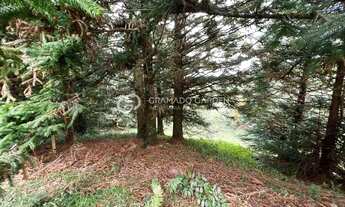 Imagem 3: TERRENO COM VISTA PERENE PARA O VALE