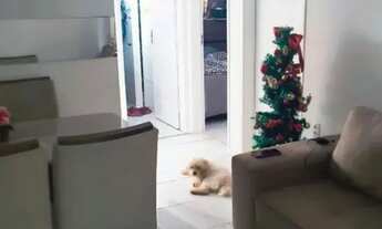 Imagem 5: Venda - Apartamento na Serraria - Com ar condicionado