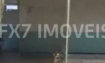 Imagem 5: Barracão Comercial Bonfim em Campinas