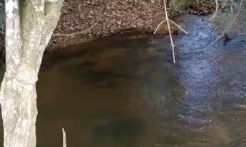 Imagem: Chácara na beira do Rio Lageado