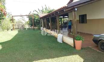 Imagem 7: Chácara disponível para venda no Chácaras Douradinho em Uberlândia-MG