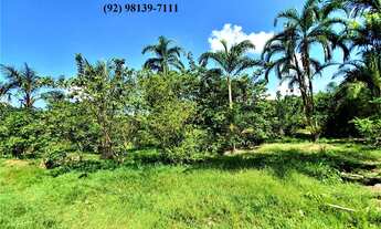 Imagem 2: Fazenda Sítio Chácara Estrada de Janauary KM 13 Ramal Boa Fé Iranduba 22.500m²