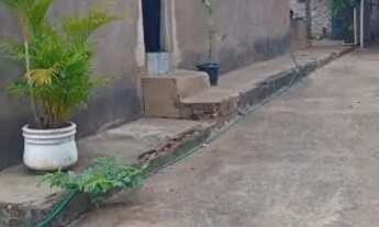 Imagem 2: Imóvel Vila Maria