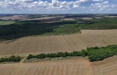 Imagem 7: Fazenda de 127 alqueires com lavoura de soja entre Bela Vista e Silvania-Go