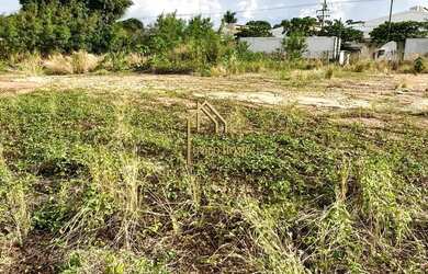 Imagem 6: Terreno disponível para Locação ou Venda Distrito Industrial de Cuiabá