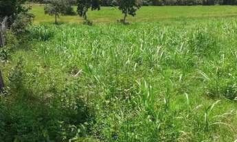 Imagem 2: Chácara 13 hectares Coxipo do Ouro