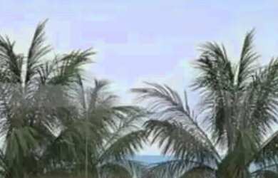 Imagem 5: Praia De Tamandaré: Flats Studios à Venda para Alta Rentabilidade