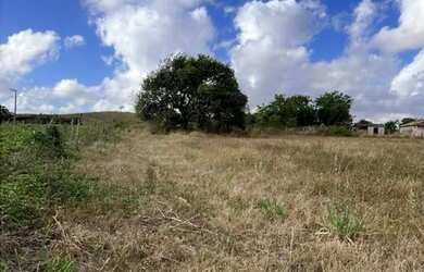 Imagem 3: Vende se sítio Chácara com venda por R$200.000