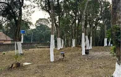 Imagem 6: Terreno à venda, 1751 m² por R$ 297.000 - Parque Cerejeiras - Suzano/SP