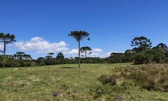 Imagem: Sitio em Urubici/ chácara em Urubici/área