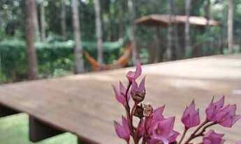 Imagem 2: Casa de Dora Itacaré