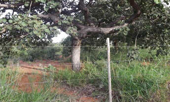 Imagem 4: Chacaras de 1.000 metros 100% plana Na Serra do Cipó (oportunidade