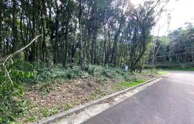 Imagem 2: Gramado - Terreno Padrão - Floresta