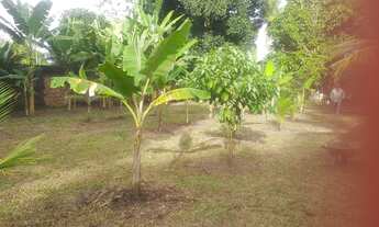 Imagem 5: Terreno em aldeia km 12