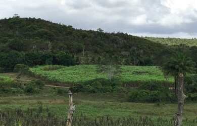 Imagem 7: Fazenda a 15 km de Entre Rios Na BA 093 , São 270 tarefas georreferenciadas GPS