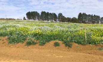 Imagem 3: Vendo meu terreno para moradia e lazer - Ibiúna