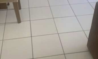 Imagem 2: Condomínio Palmeiras III na Mario Andreazza