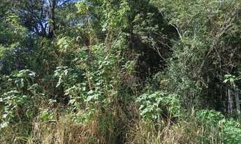 Imagem 6: Terreno à venda, 720 m² próximo da Lagoa da Ibiraquera - Ibiraquera - Imbituba/SC