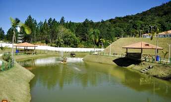 Imagem 2: Apartamento de 2 quartos para alugar no bairro Pedra branca