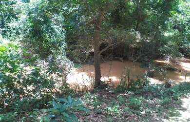 Imagem 4: Chácara 5.000m... 36km de Montes Claros